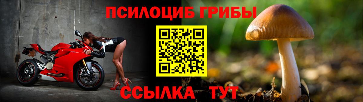 Галлюциногенные грибы MAGIC MUSHROOMS  Вход с VPN  Железногорск 